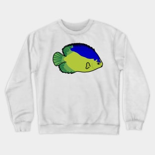 Colin’s Angelfish Crewneck Sweatshirt